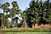 Myanmar - Inwa, stupas nearby the Bagaya Kyaung wooden monastery. 